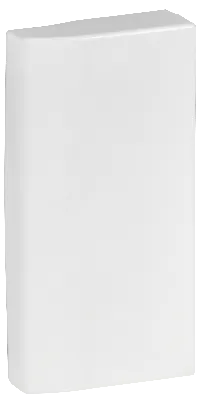 Заглушка 100x50мм