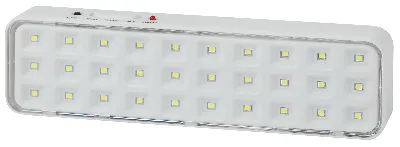 Светильник светодиодный аварийный непостоянный DBA-102-0-20  30LED 5ч IP20 выход (40/1920) ЭРА