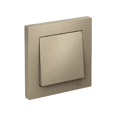 Выключатель одноклавишный ATLASDESIGN схема 1 10АХ в сборе шампань