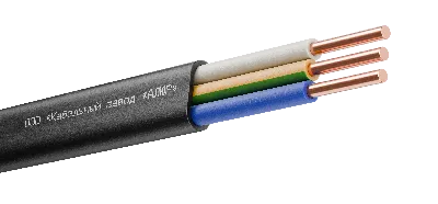 Кабель силовой ВВГ-Пнг(А)-LS 3х10ок(N.PE)-0.66 Ч  бар