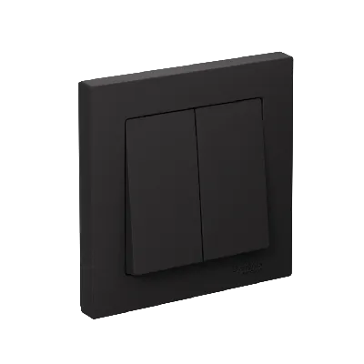 Выключатель двухклавишный ATLASDESIGN схема 5 10АХ в сборе карбон