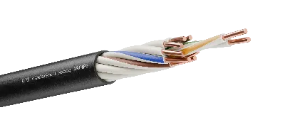 Кабель контрольный КВВГнг(А)-LS 10х1