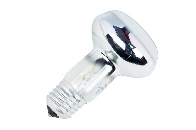 ЗК 40вт R63 230B E27 Favor