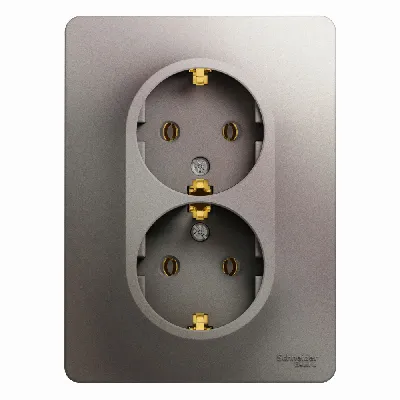 GLOSSA розетка двойная с заземлением в сборе платина