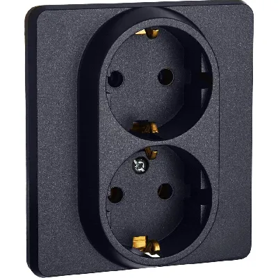 Розетка двойная с заземлением x 2К+З немецкий     стандарт 16А 250В~ INSPIRIA антрацит