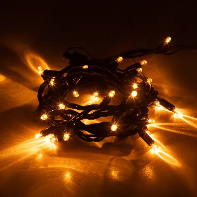 Гирлянда 30LED Нить 3 м,желтый свет, черн. каучук, 220В, IP65 ERAPS-NZ1