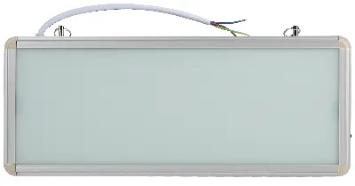 Светильник аварийный светодиодный 1,5ч 3Вт БЕЗ ТЕКСТА SSA-101-0-20