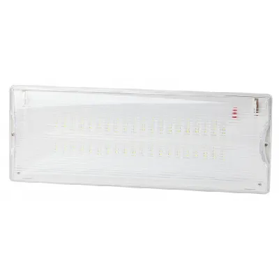 Аварийный светильник DPA-301-1-65 постоянный 40LED 3ч IP65 NiCD